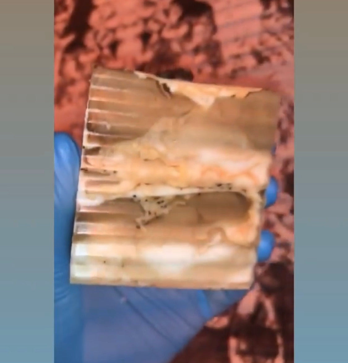 Café de Mocha Exfoliating Bar