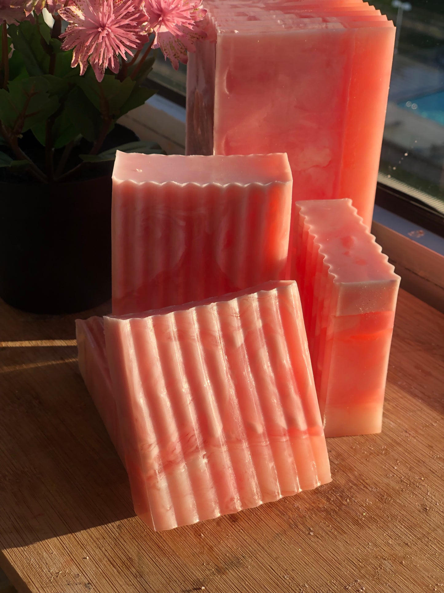 Wild Passion Bar