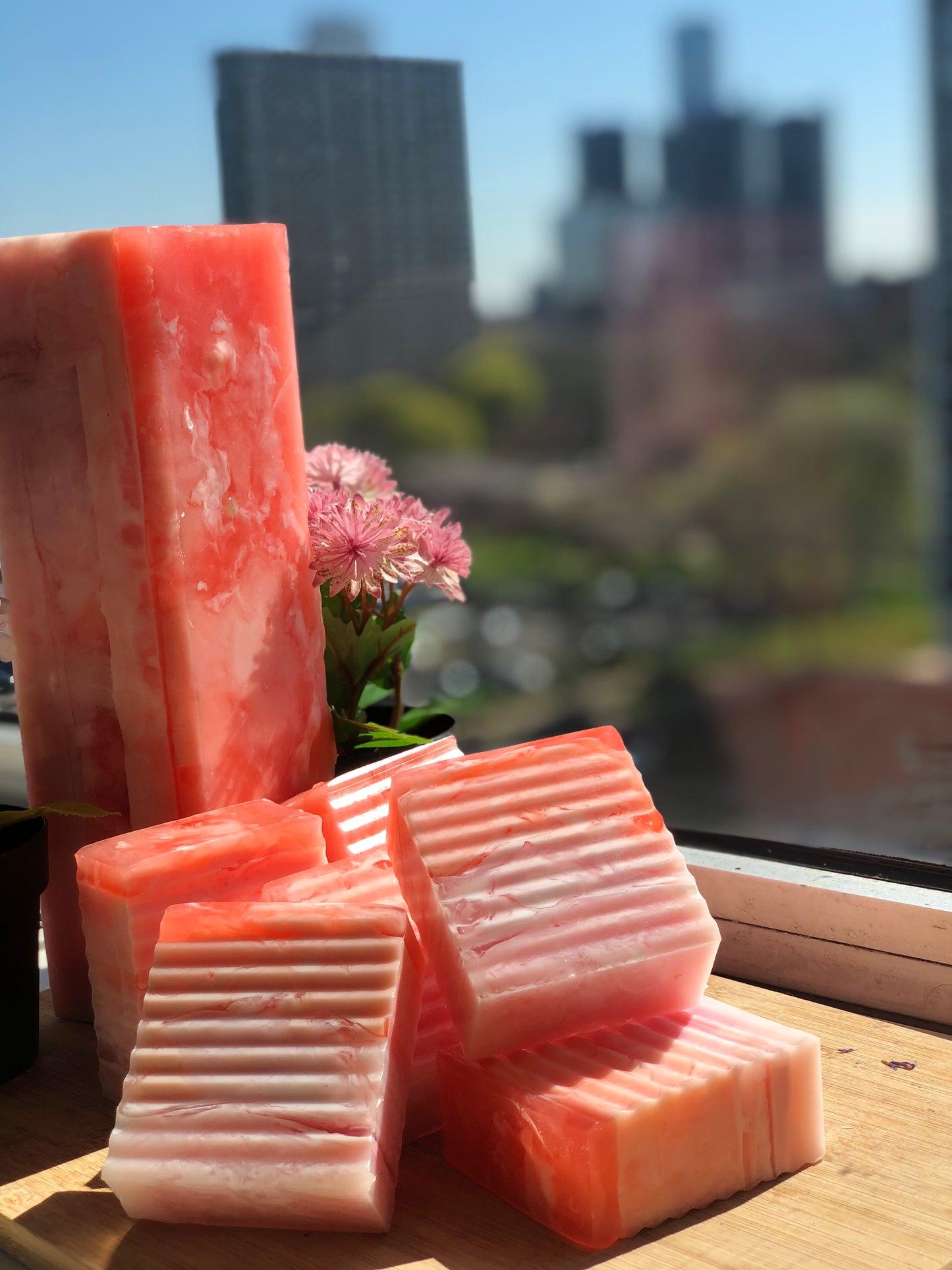 Wild Passion Bar