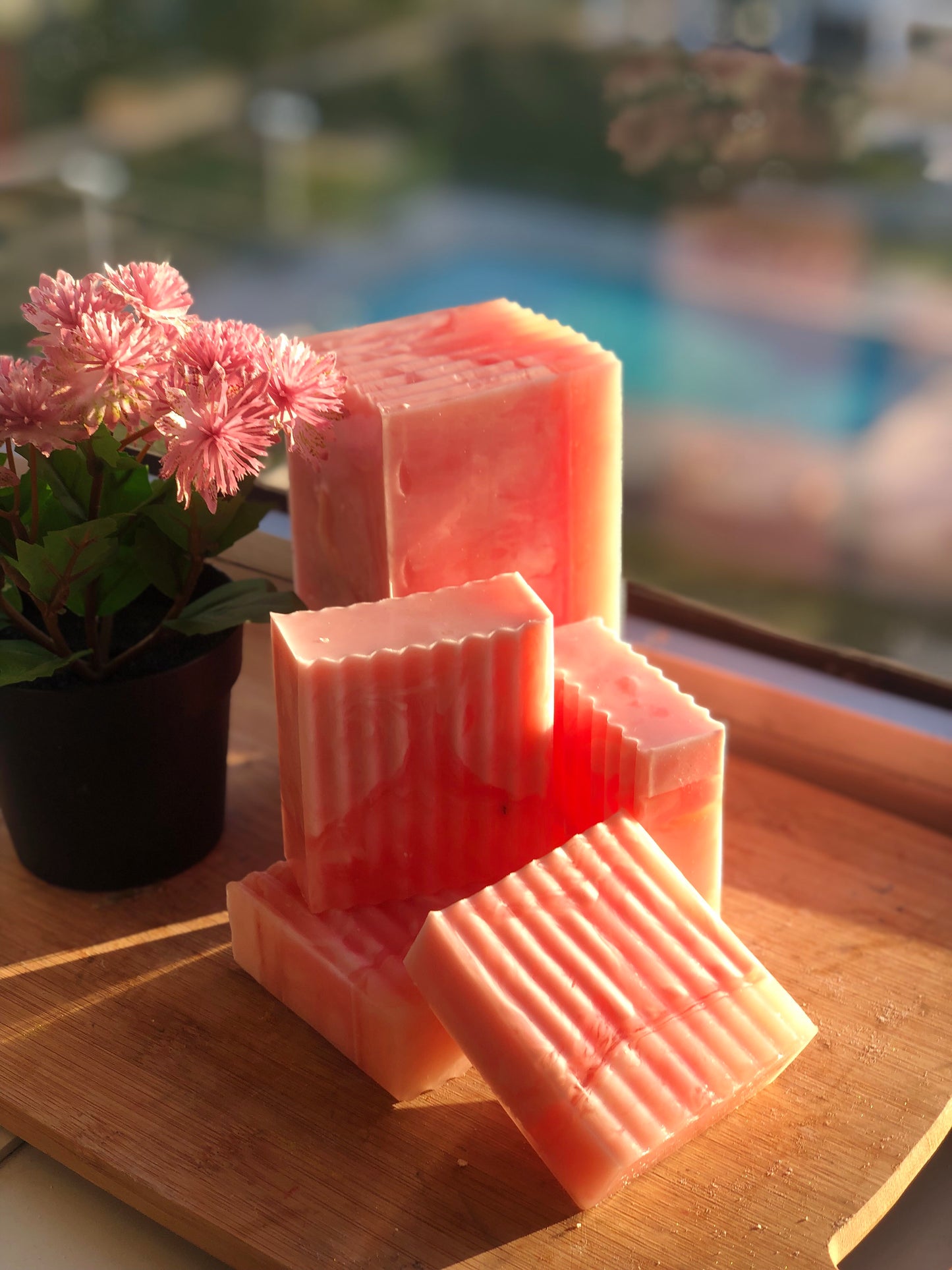 Wild Passion Bar