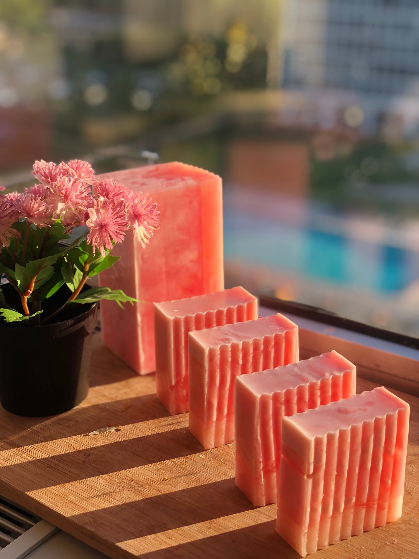 Wild Passion Bar